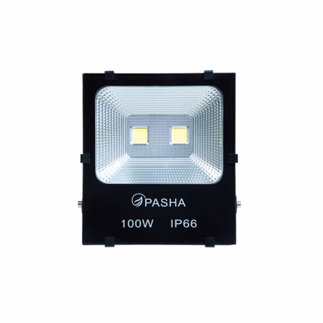 Pasha LED Flood Light 100W- White