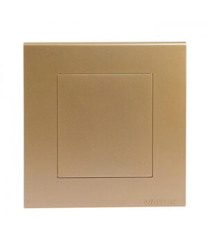 Walton Radium Indicator Trust Series Blank Plate – Gold – WTBPG (GOLD)